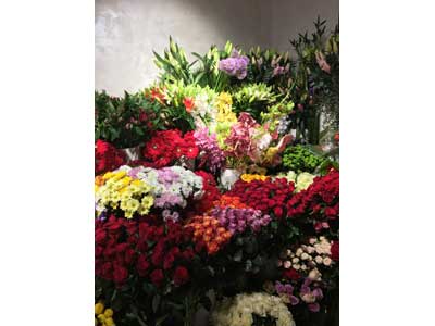 GIFT SHOP QUINCE FLOWER Flowers, flower shops Belgrade - Photo 5