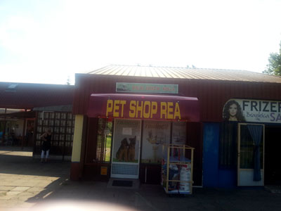 PET SHOP REA Kućni ljubimci, pet shop Beograd - Slika 1