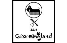 Groomer sa iskustvom