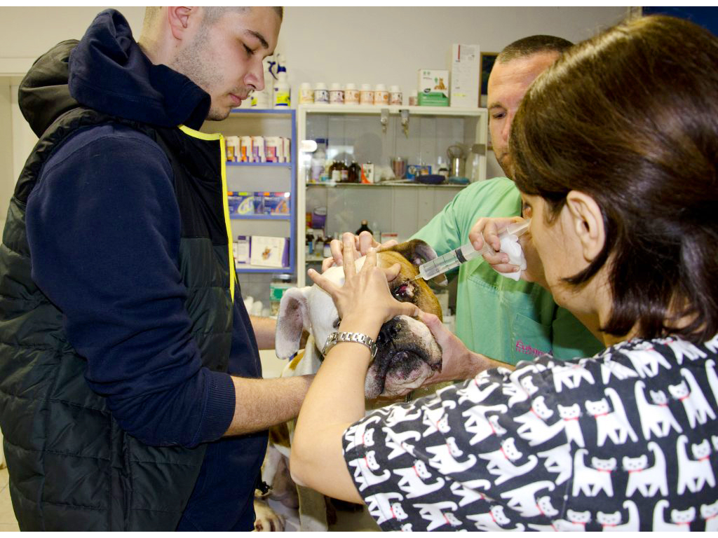 Slika 2 - NOMOVET Veterinarske ordinacije, veterinari Beograd