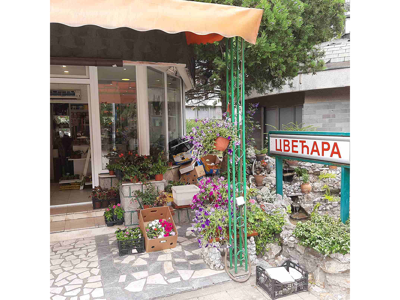 Photo 1 - FLOWER SHOP BRANKO Flowers, flower shops Belgrade