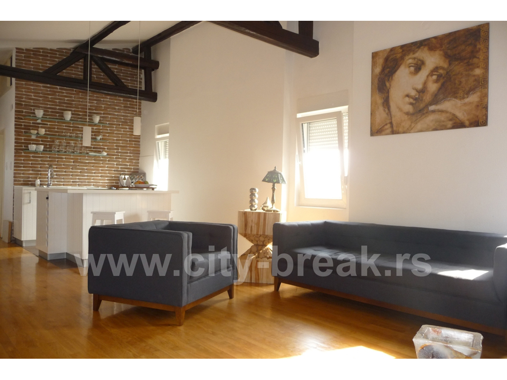 Photo 5 - CITY BREAK APARTMENTS Accommodation, room renting Belgrade