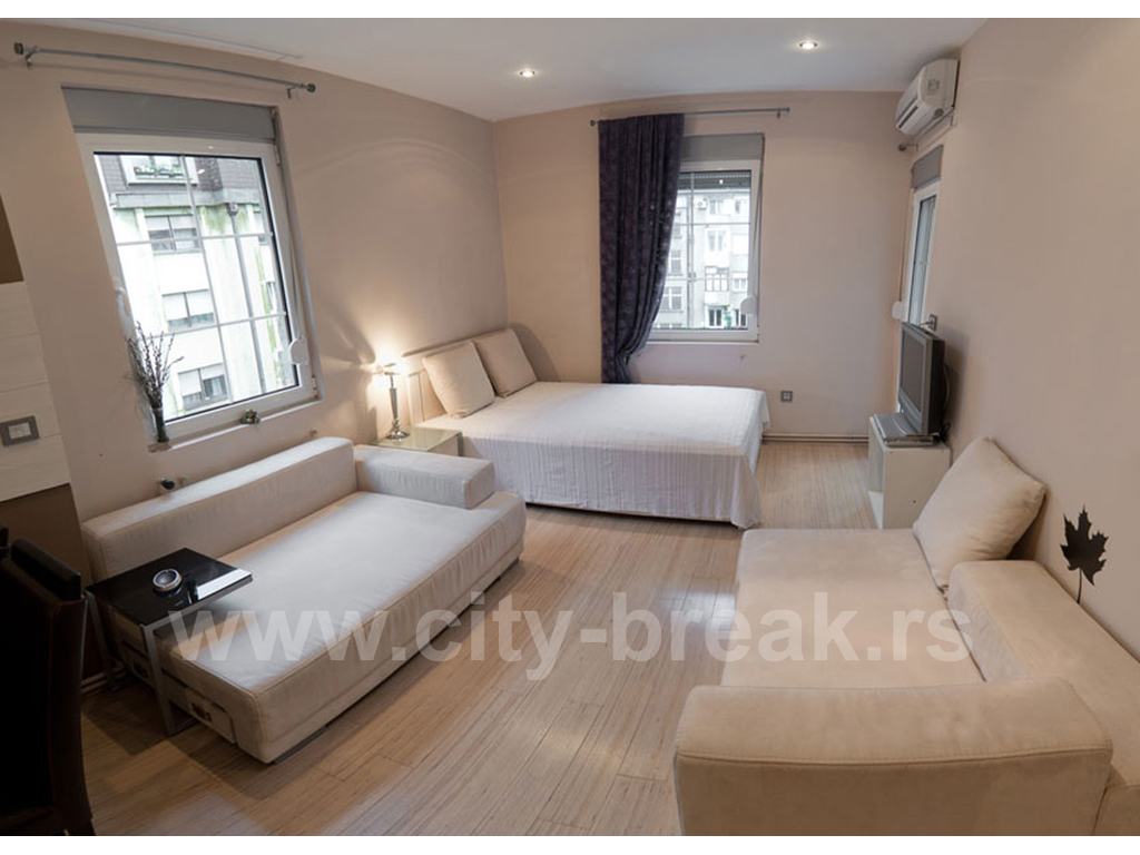 CITY BREAK APARTMENTS Accommodation, room renting Beograd