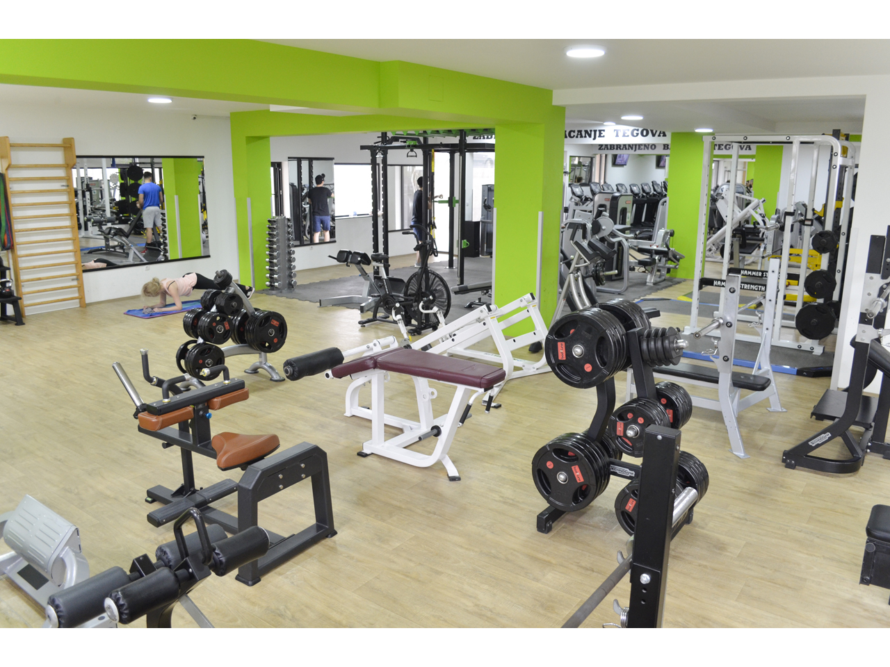 MUSCLE FACTORY Gyms, fitness 23 Sevina st., Zemun Belgrade