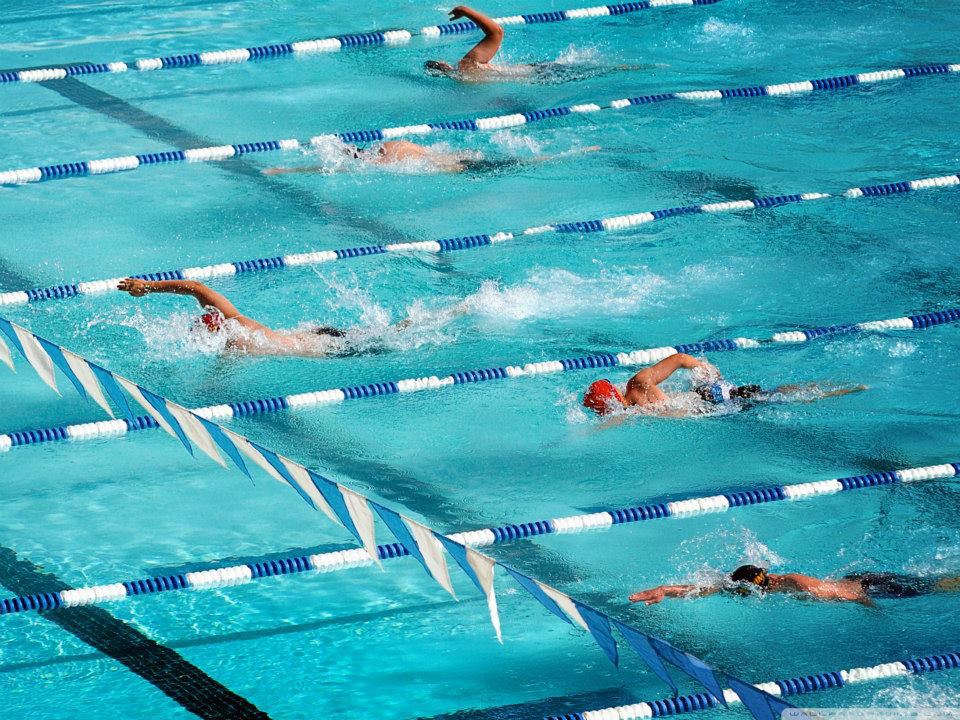 SWIMMING CLUB OBILIC Swimming schools Belgrade - Photo 10