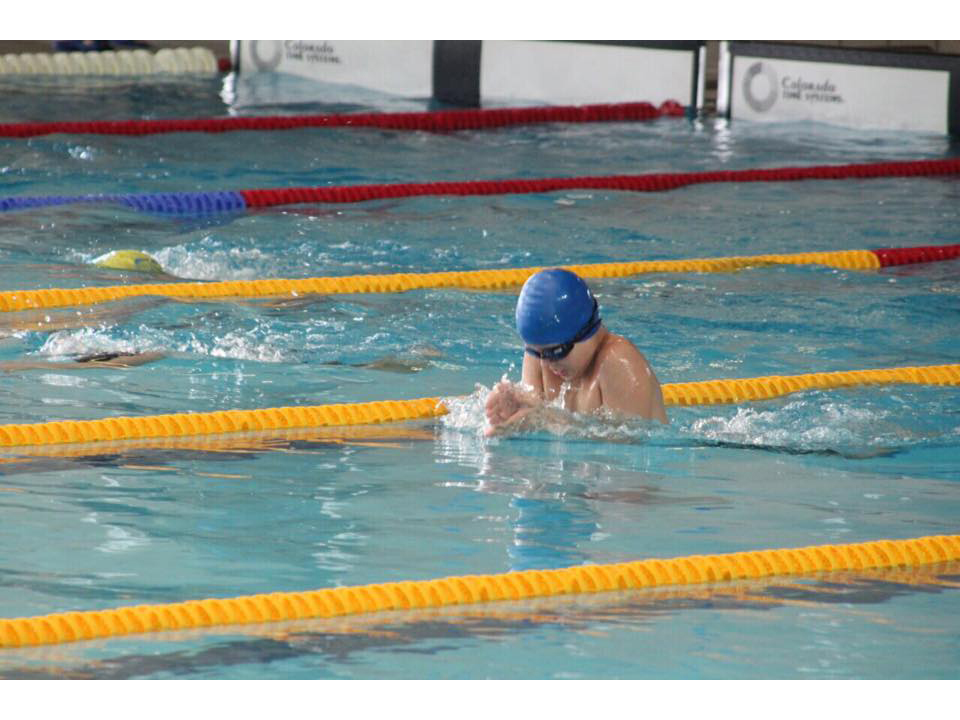 SWIMMING CLUB OBILIC Swimming schools Belgrade - Photo 5