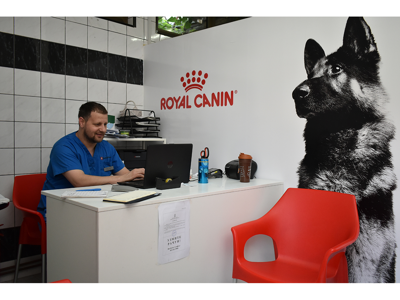 VETVIZIJA - VETERINARY OFFICE AND GROOMING Pet salon, dog grooming Beograd
