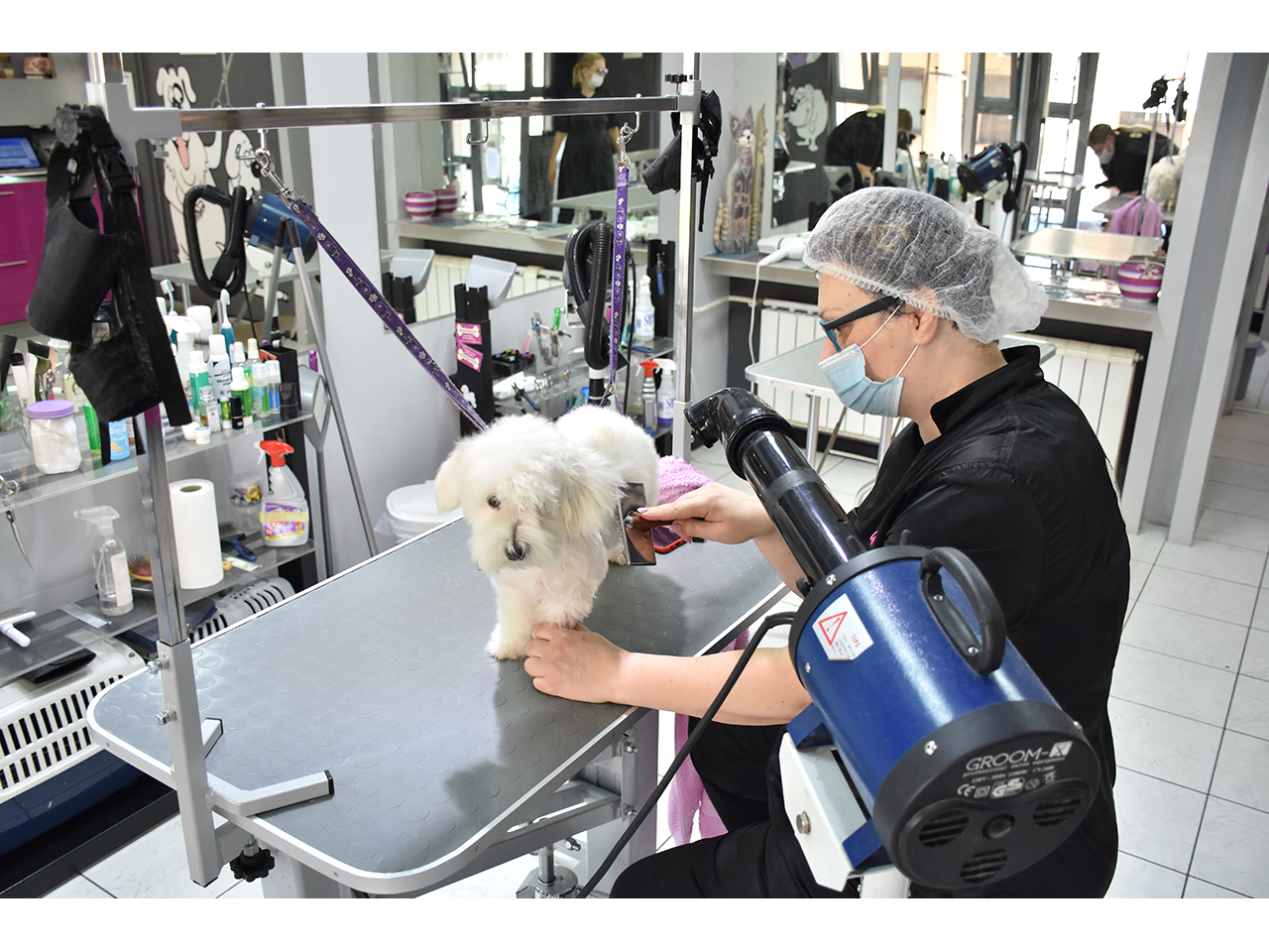 Photo 3 - PET CARE SALON SHOWROOM Pet salon, dog grooming Belgrade