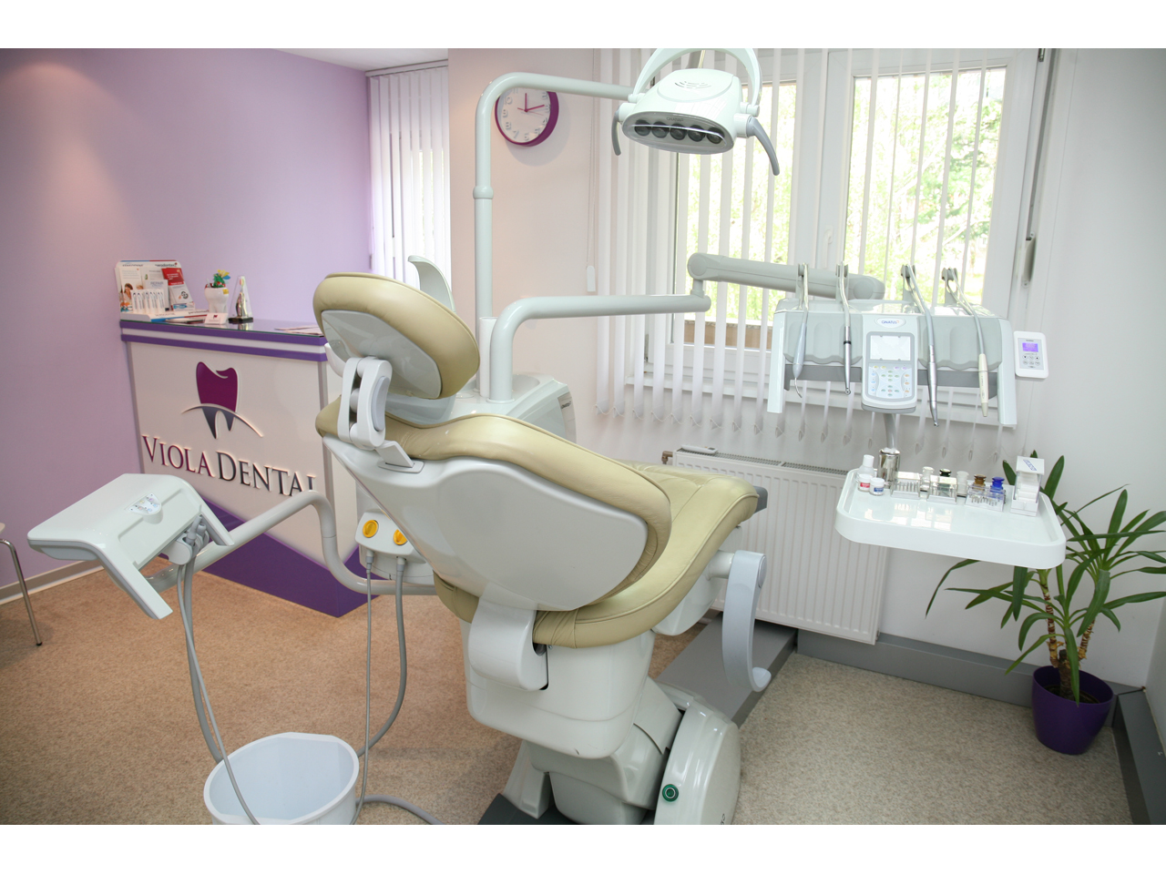 VIOLA DENTAL Dental surgery Beograd