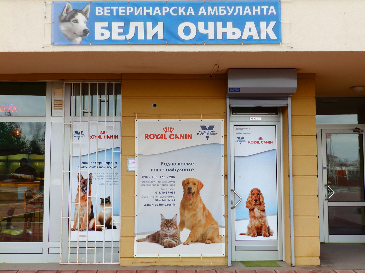 Slika 1 - BELI OČNJAK VET Veterinarske ordinacije, veterinari Beograd