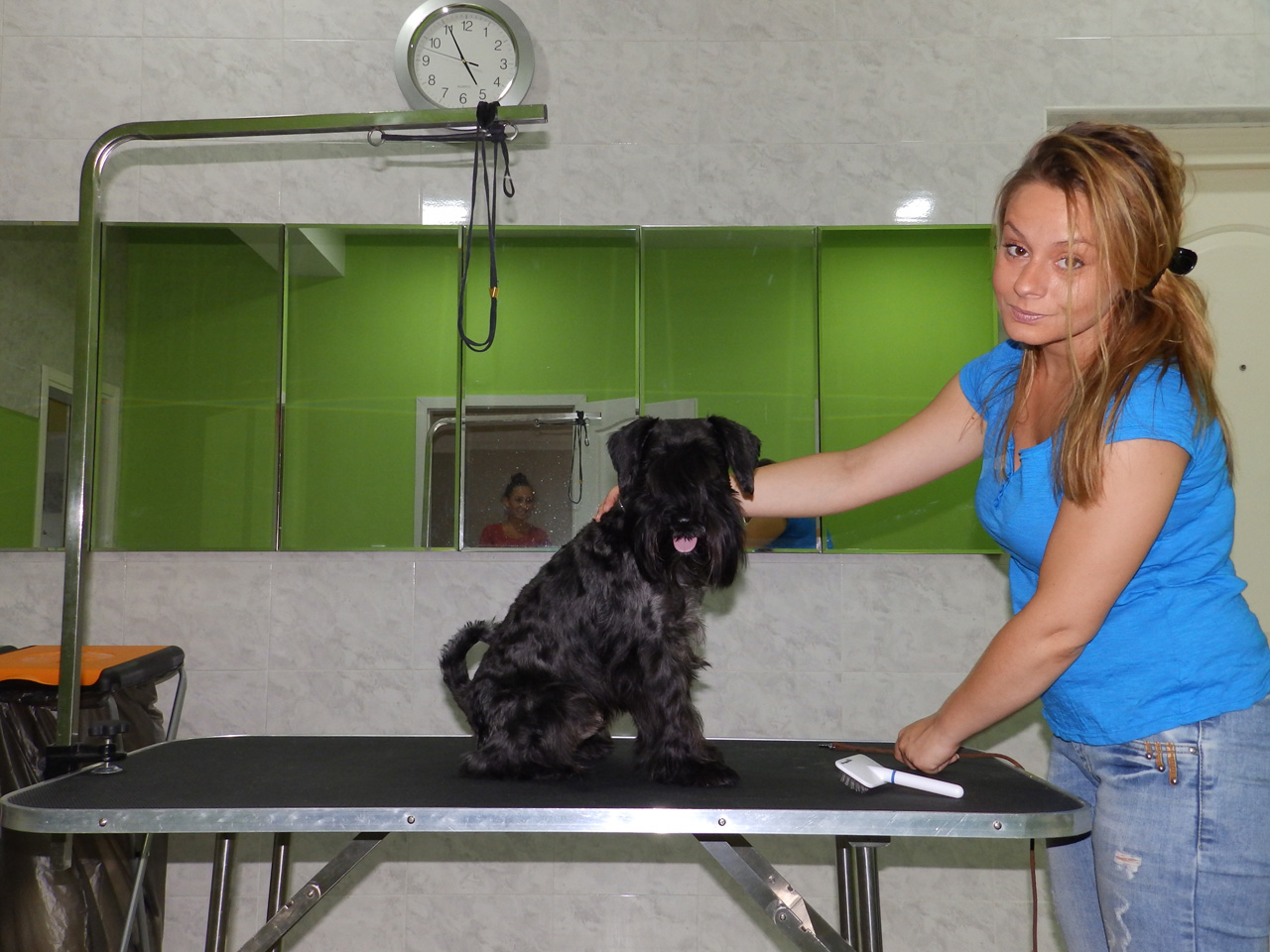 KOSKA ALL FOR DOGS Saloni za kućne ljubimce, šišanje pasa Beograd - Slika 12