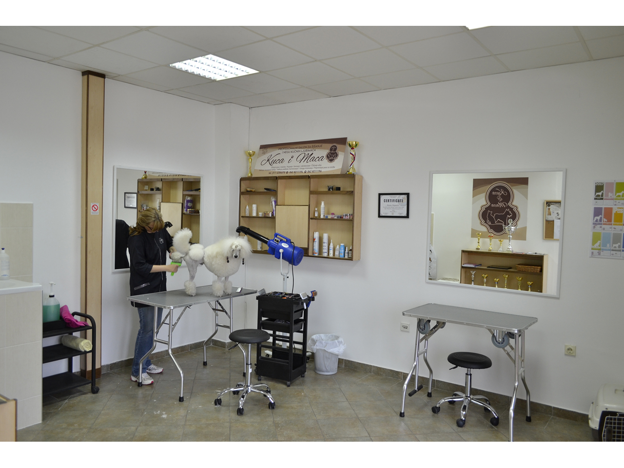 01 KUCA I MACA GROOMING SALON FOR DOGS AND CATS AND EDUCATION Pet salon, dog grooming Beograd