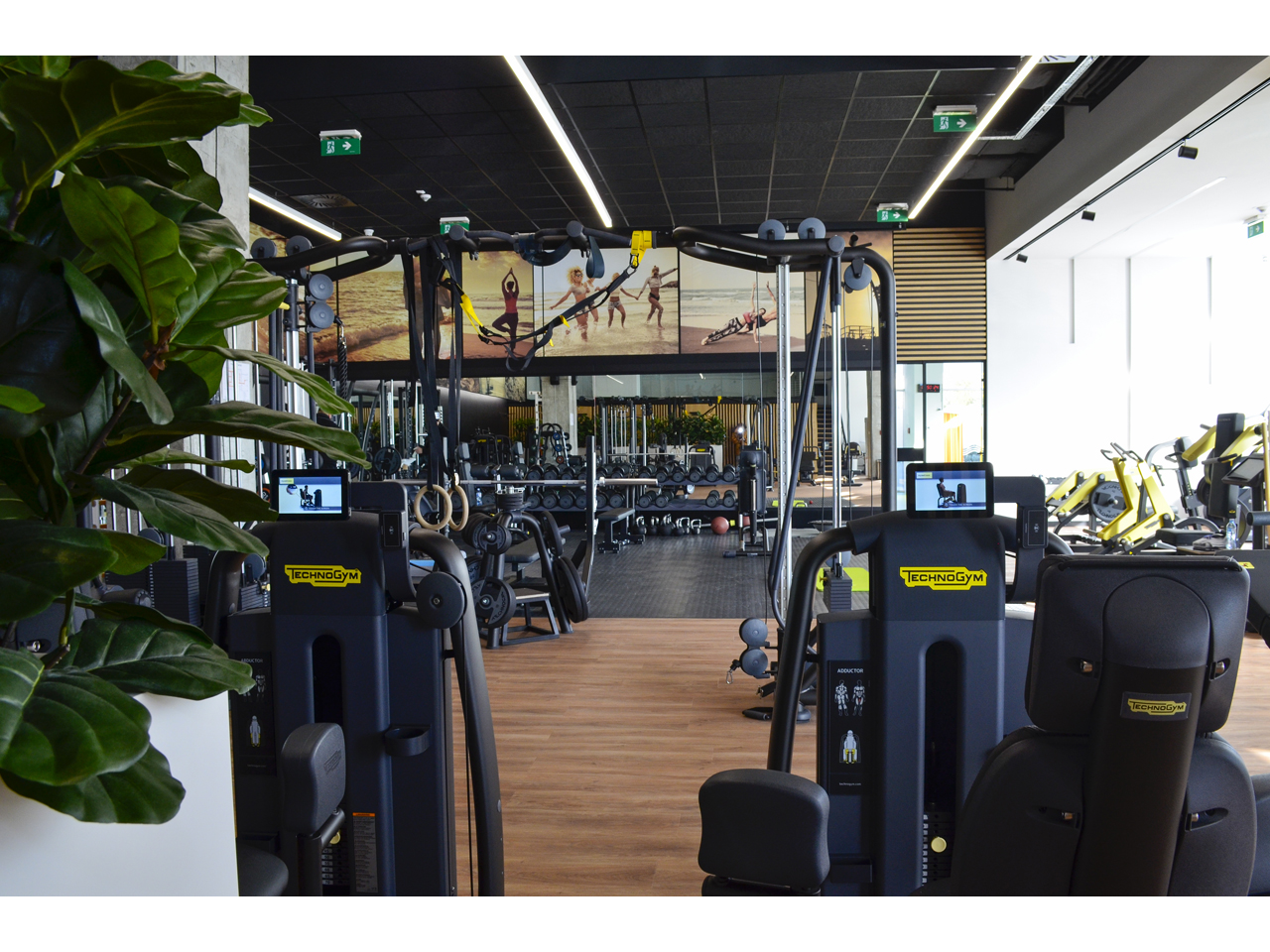 MUSCLE BEACH FORTYONE FITNESS CENTER Gyms, fitness Belgrade - Photo 1