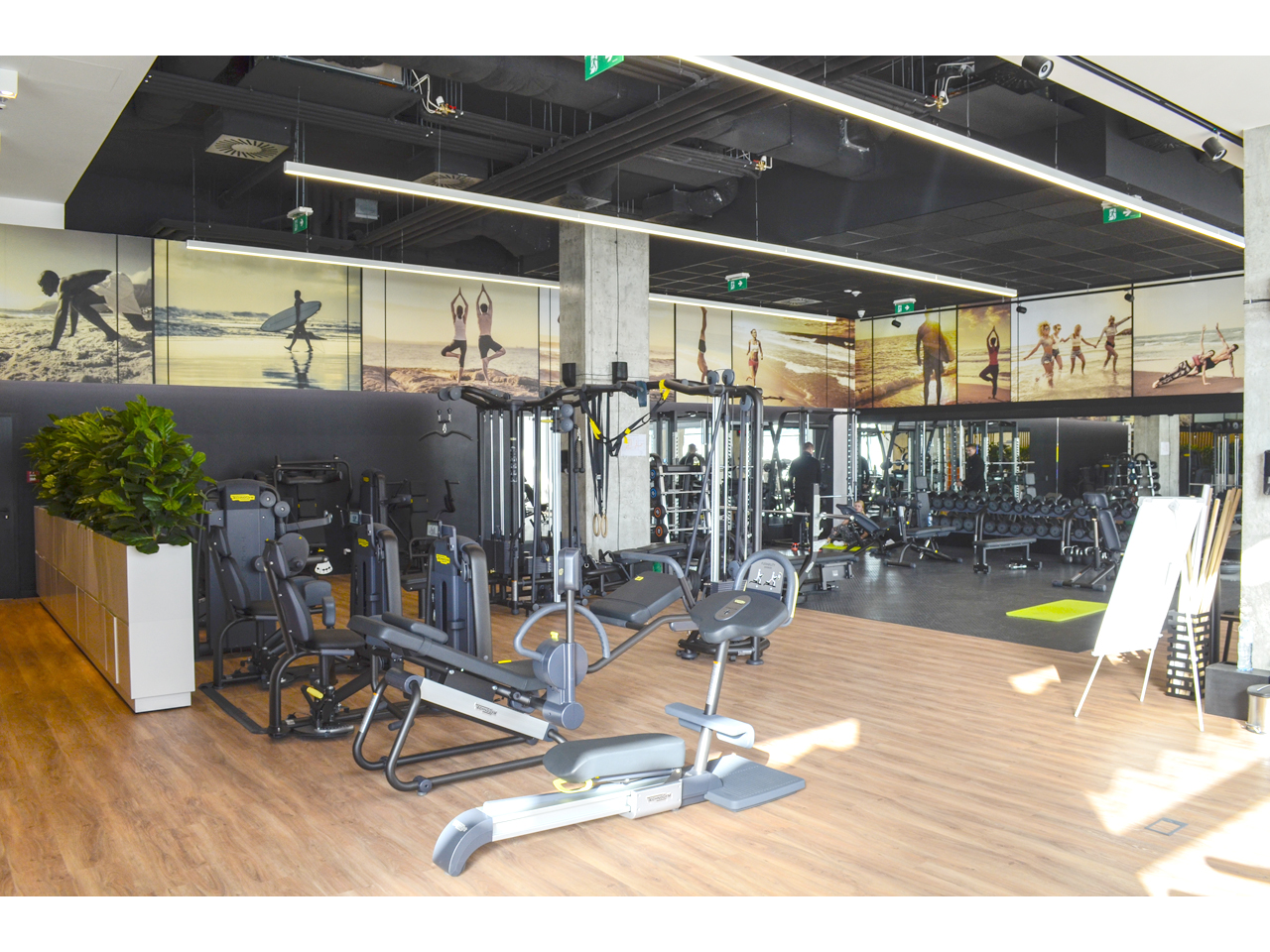 MUSCLE BEACH FORTYONE FITNESS CENTER Gyms, fitness Belgrade - Photo 4