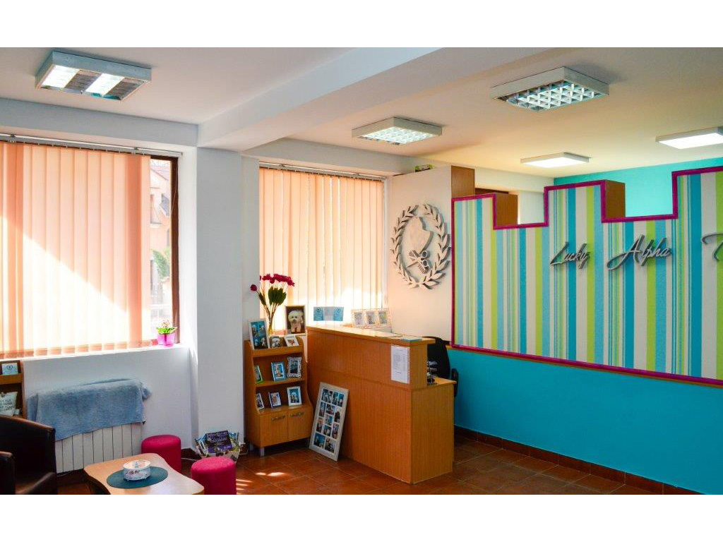 LUCKY ALPHA TEAM SALON FOR DOG GROOMING AND CARE Pet salon, dog grooming Belgrade - Photo 2