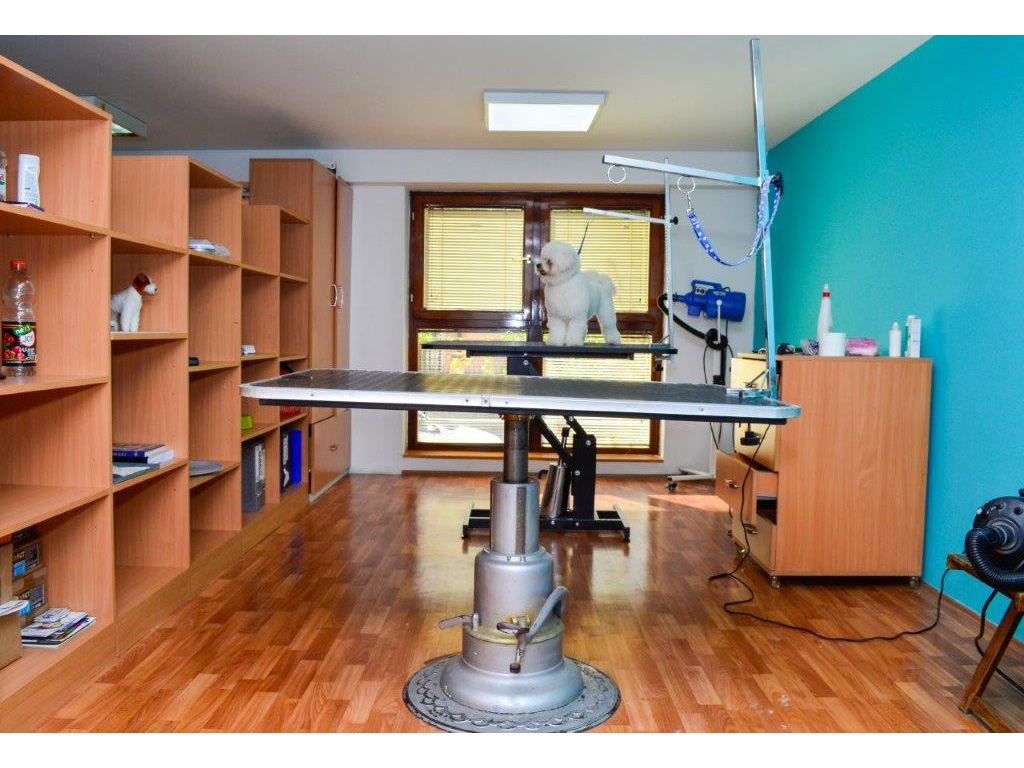 LUCKY ALPHA TEAM SALON FOR DOG GROOMING AND CARE Pet salon, dog grooming Belgrade - Photo 7
