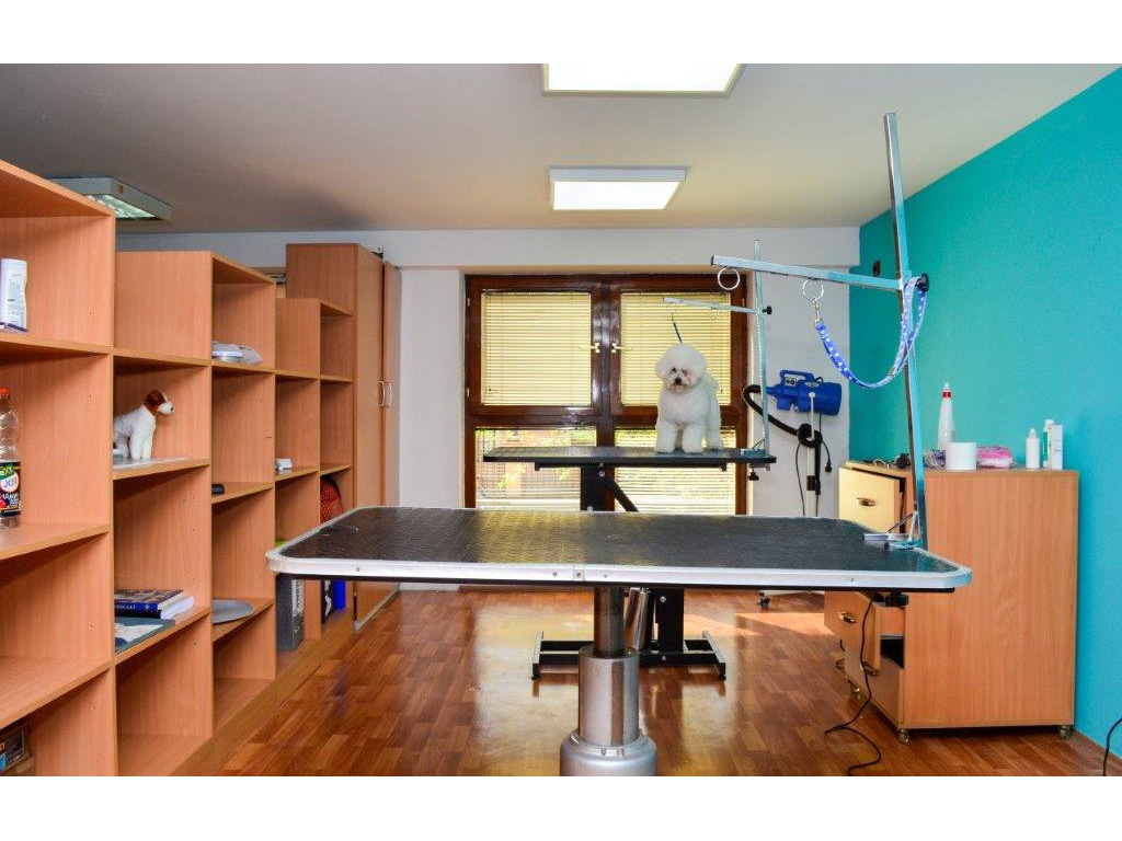 LUCKY ALPHA TEAM SALON FOR DOG GROOMING AND CARE Pet salon, dog grooming Belgrade - Photo 8