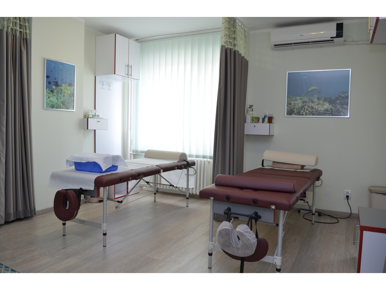 CLINIC HORUS DR MIRKO DJORDJEVIC Acupuncture Beograd