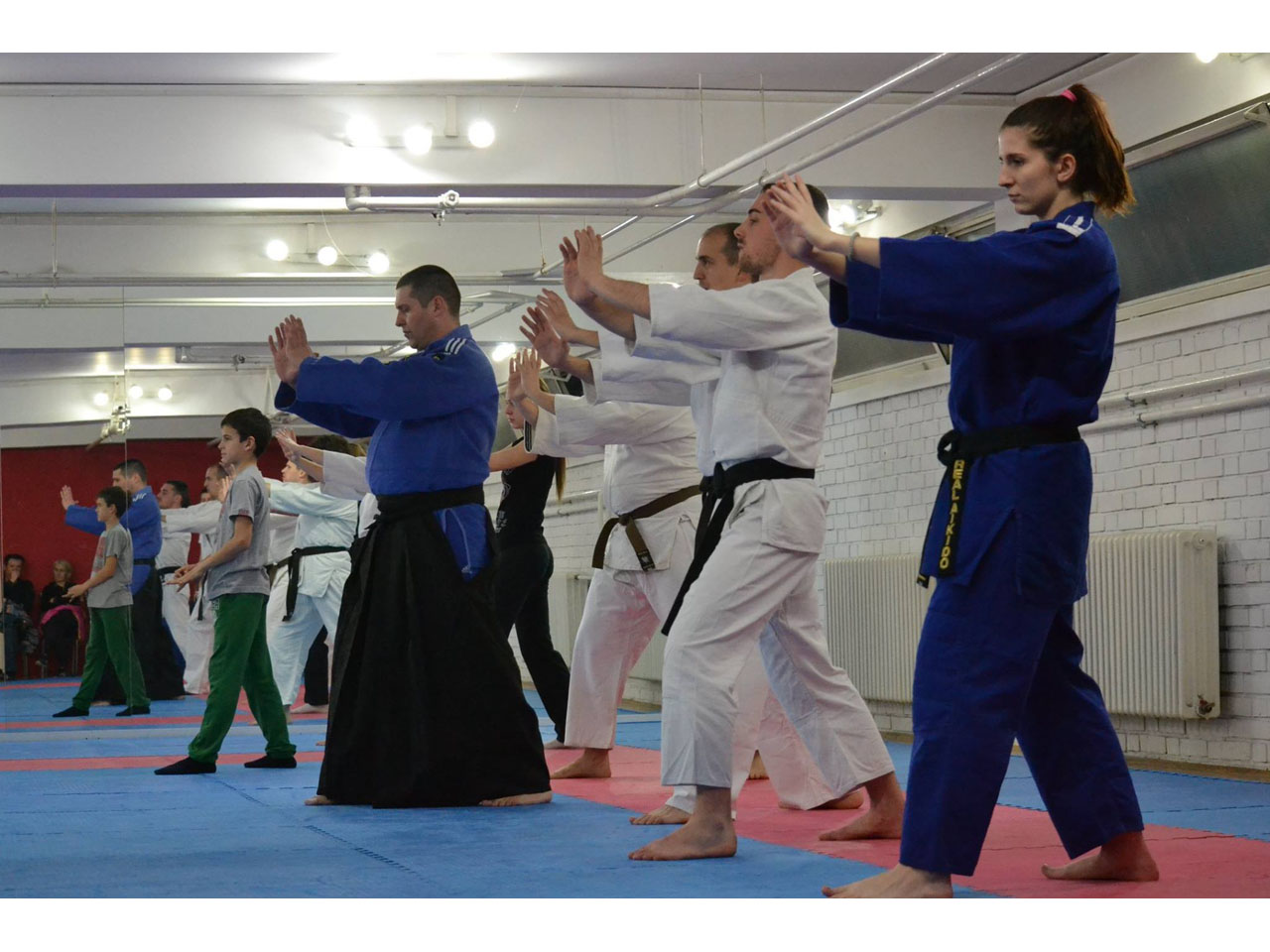 TAIDO REALISTIC AIKIDO CLUB Martial Arts Belgrade - Photo 2