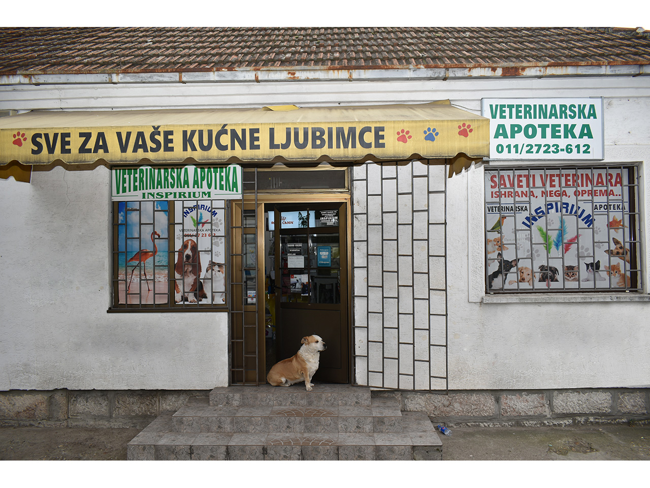 Photo 1 - VETERINARIAN CLINIC INSPIRIUM Pets, pet shop Belgrade