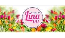CVEĆARA LINA 011 Cveće, cvećare Beograd