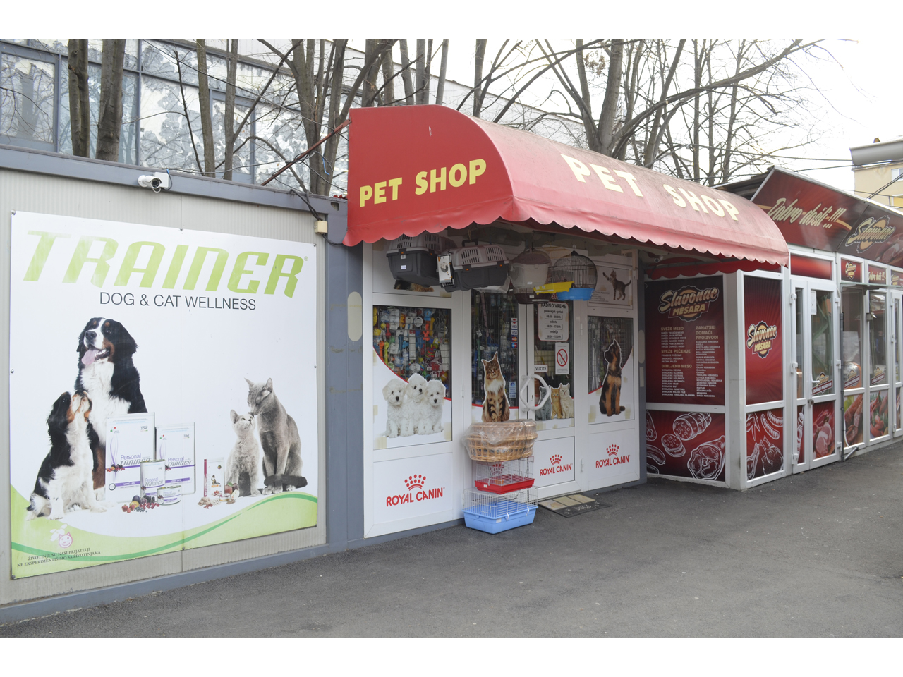 BONI PET SHOP Kućni ljubimci, pet shop Beograd - Slika 1