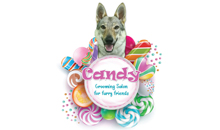 CANDY - GROOMING SALON FOR FURRY FRIENDS - Pet salon, dog grooming Beograd - Photo logo 