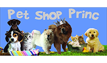 PET SHOP PRINC Pets, pet shop Belgrade
