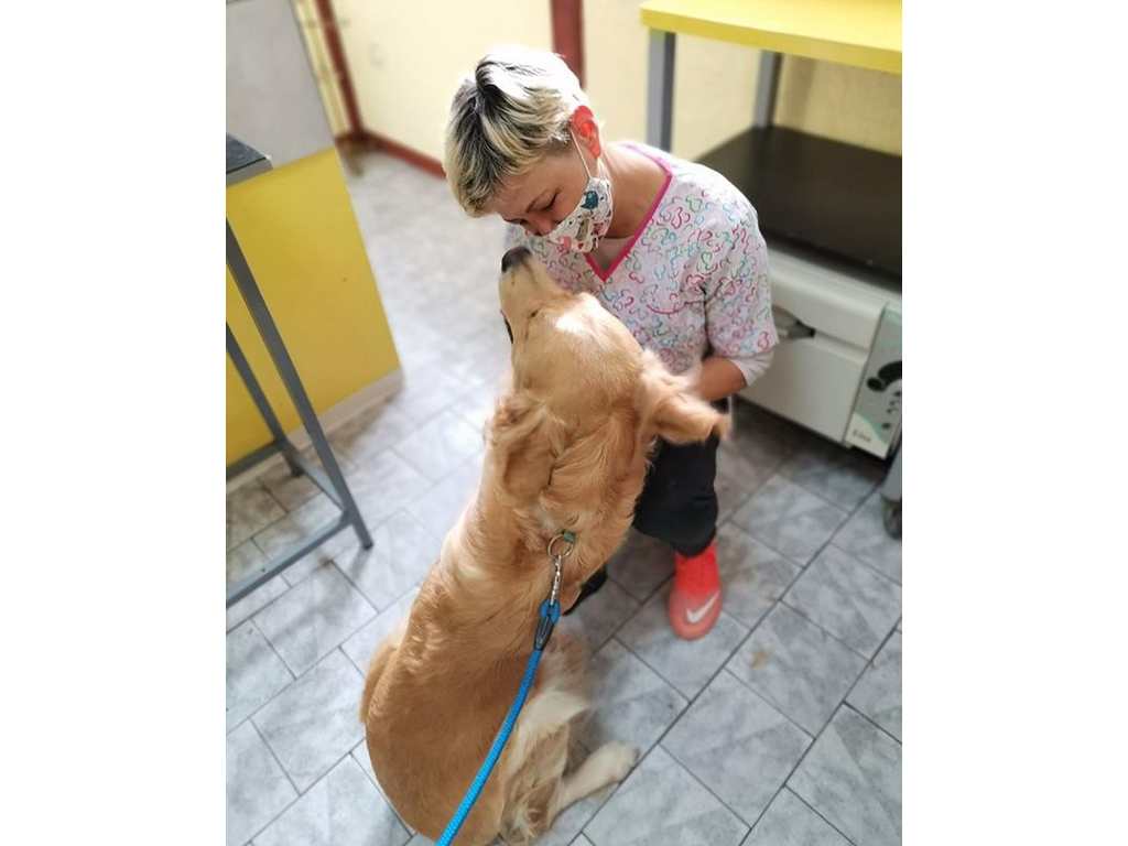 GLOGY VET - GROOMING - PET SHOP Pet salon, dog grooming Belgrade - Photo 3