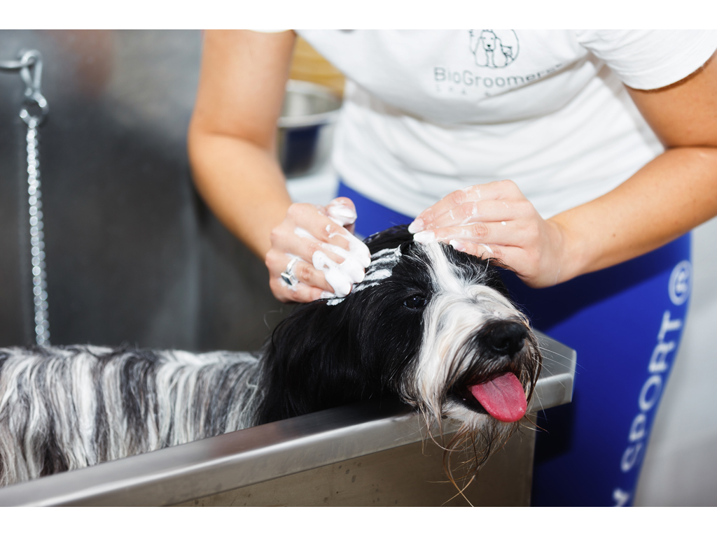 BIOGROOMERS SPA & CARE Pet salon, dog grooming Belgrade - Photo 12