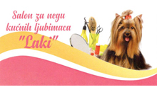 DOG GROOMING STUDIO LAKI Pet salon, dog grooming Belgrade