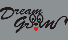 DREAM GROOM - DOG GROOMING