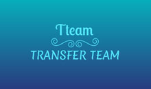 TRANSFER TEAM LTD Book-keeping agencies Belgrade