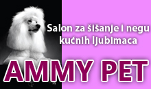 AMMY PET - Saloni za kućne ljubimce, šišanje pasa Beograd - Slika logo 