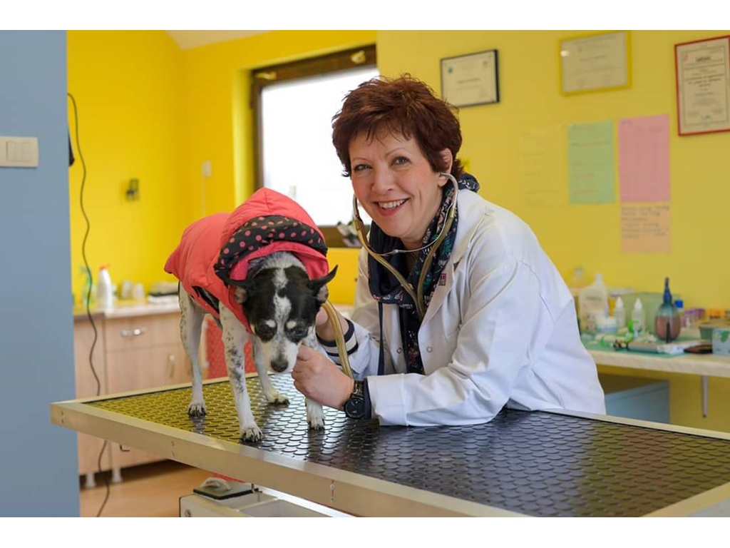 Photo 3 - VETERINARY CLINIC MEOWOOF Veterinary clinics, veterinarians Belgrade