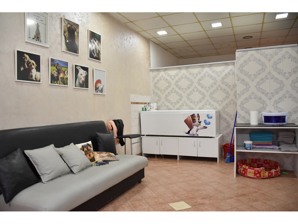 Photo 4 - BESITO GROOMING SALON Pet salon, dog grooming Belgrade