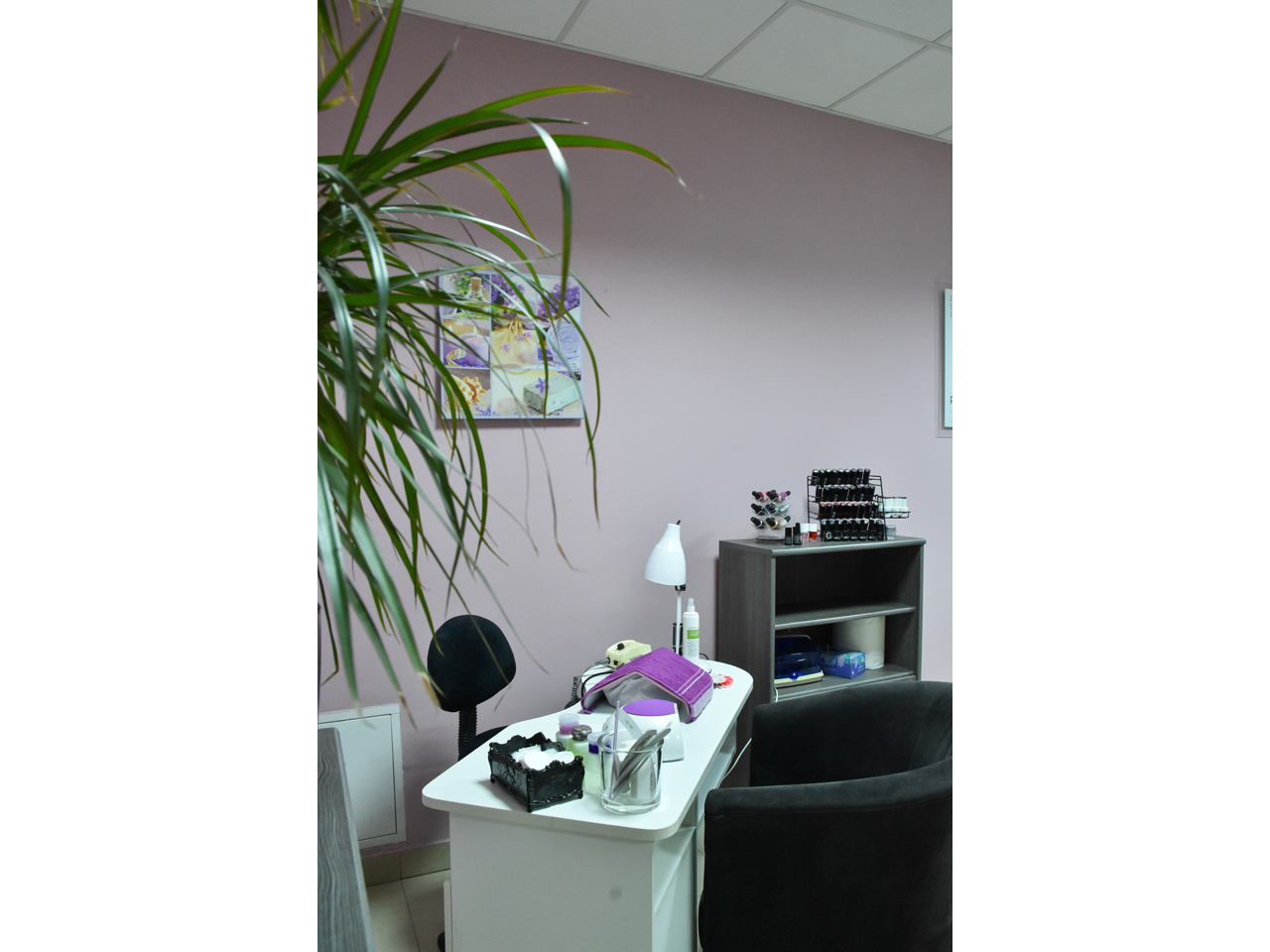 HAIRDESSING AND COSMETIC SALON LOLY WAY Hairdressers Belgrade - Photo 8