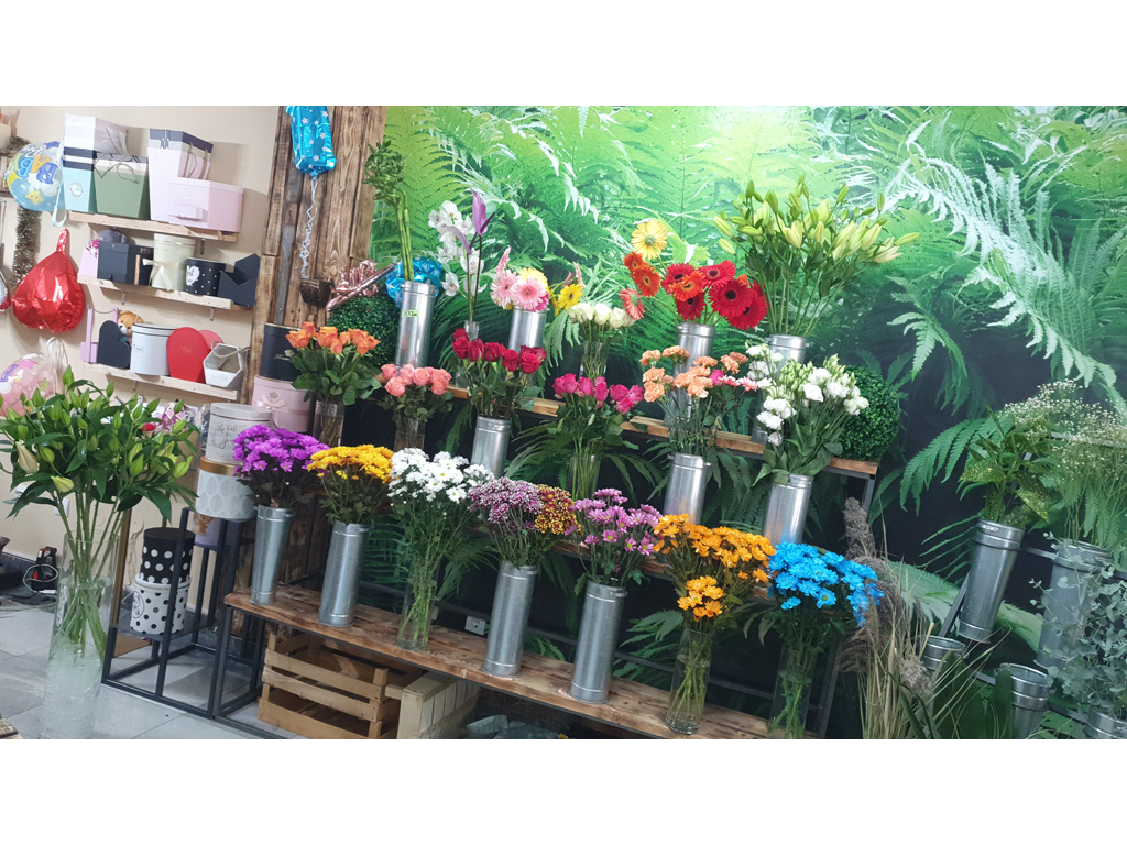 CANDY FLOWERS FLOWER SHOP Flowers, flower shops Beograd