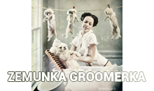ZEMUNKA GROOMERKA Pet salon, dog grooming Belgrade