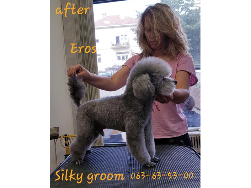 SILKY GROOM Pet salon, dog grooming Belgrade - Photo 10