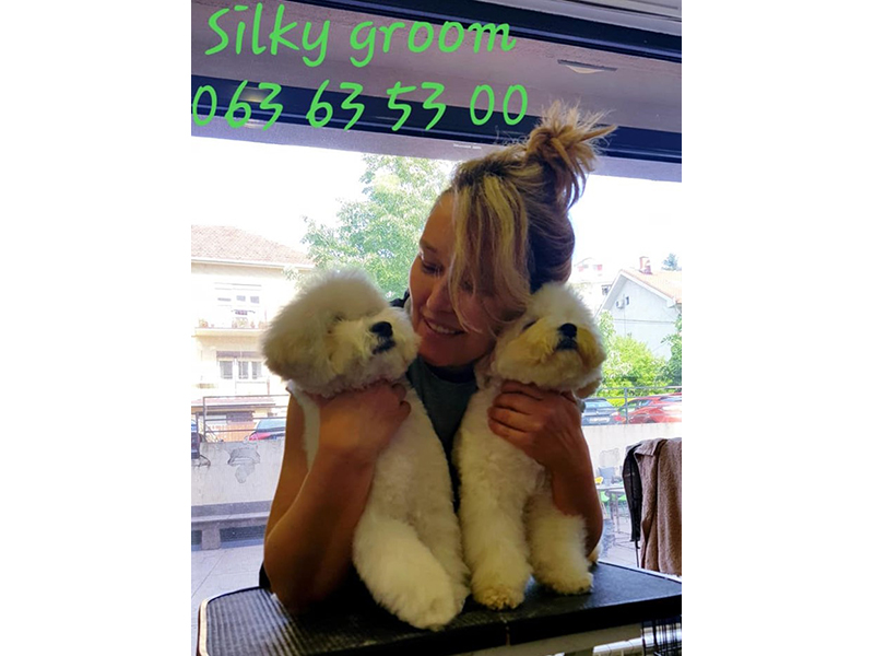 SILKY GROOM Pet salon, dog grooming Belgrade - Photo 12