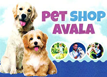 PET SHOP AVALA - Pets, pet shop Beograd - Photo logo 