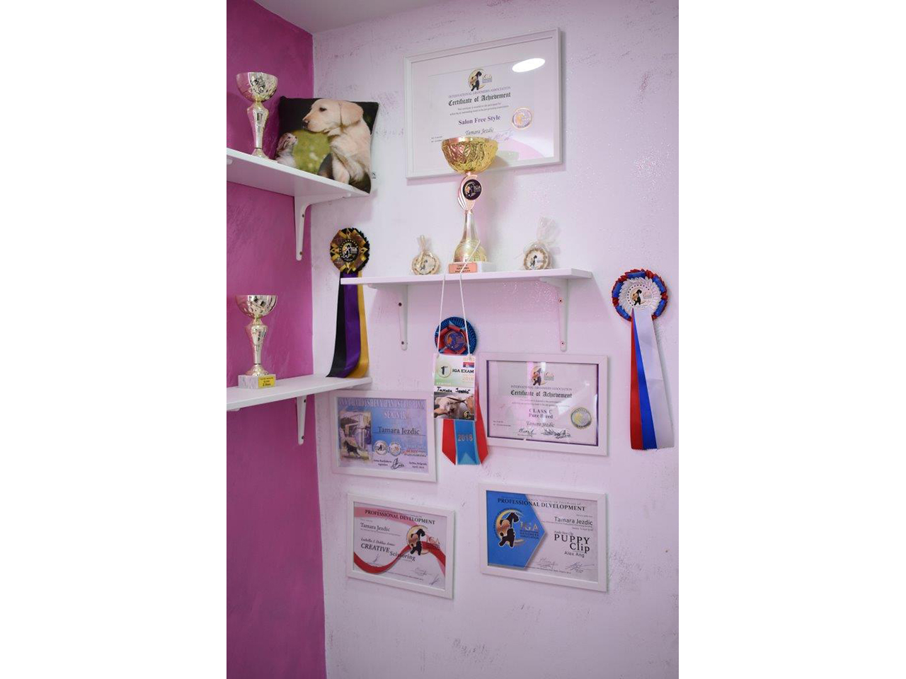 Photo 2 - MR DOG GROOMING - STUDIO AND SCHOOL FOR DOG GROOMING Pet salon, dog grooming Belgrade