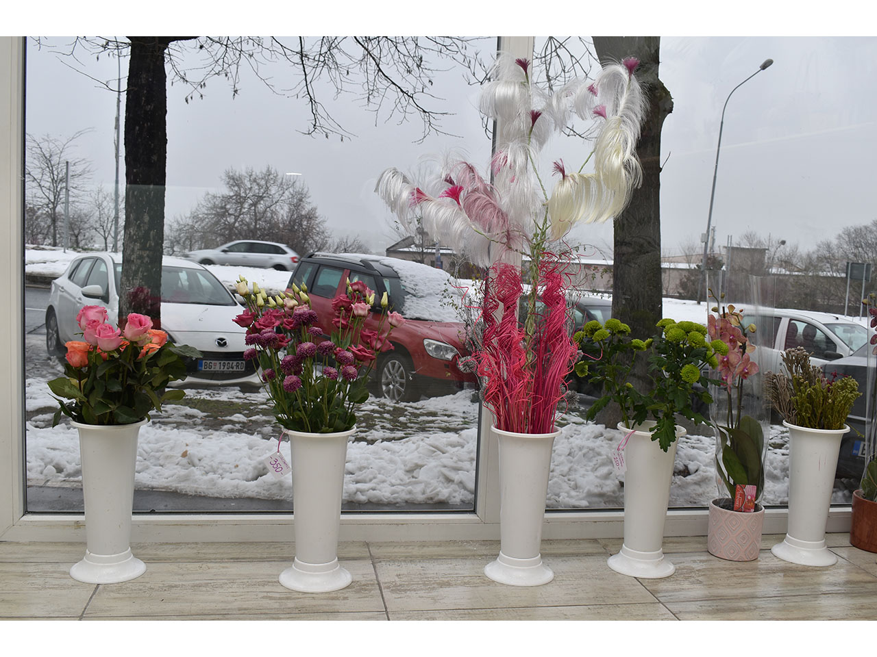 FLOWER SHOP FLORES Flowers, flower shops Beograd