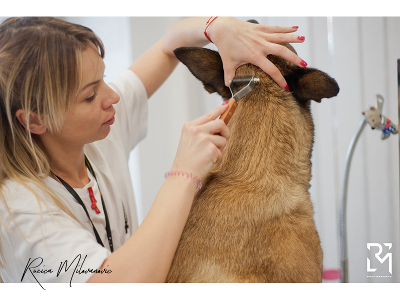 ADORA PET SPA & CONCEPT Pet salon, dog grooming Belgrade - Photo 5