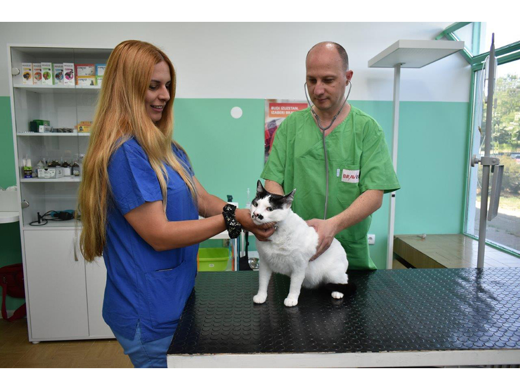 BLOK VET Veterinarske ordinacije, veterinari Beograd