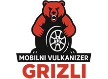 GRIZLI VULCANIZER
