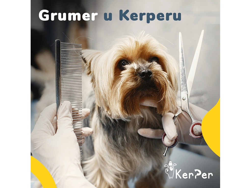 Photo 10 - SELF-SERVICE DOG BATH KERPER Pet salon, dog grooming Belgrade