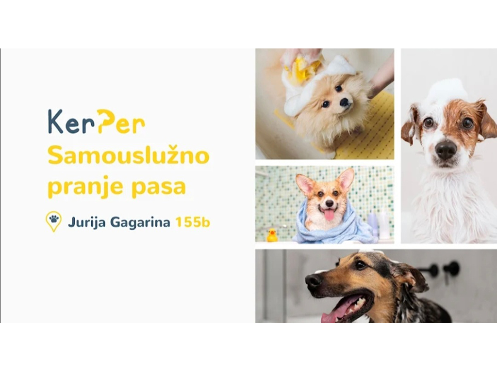 Photo 12 - SELF-SERVICE DOG BATH KERPER Pet salon, dog grooming Belgrade