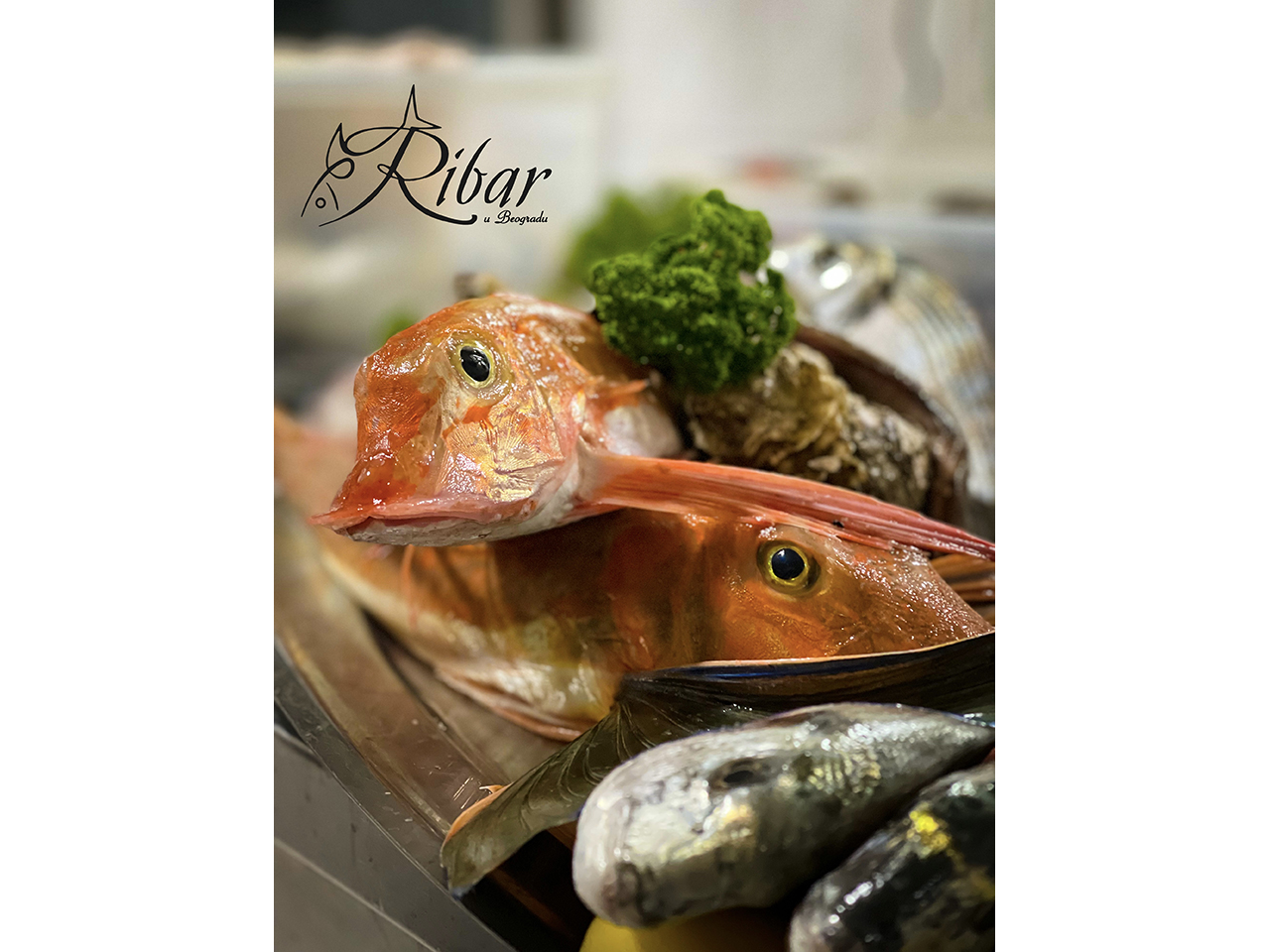 RESTAURANT FISHERMAN IN BELGRADE Japanese cuisine Belgrade - Photo 10
